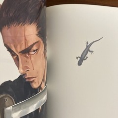 Takehiko Inoue Vagabond Art Book WATER Illustration