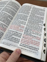 KJV Giant print Bible | Natural Genuine Leather | Thumb-Indexed | Red Letter