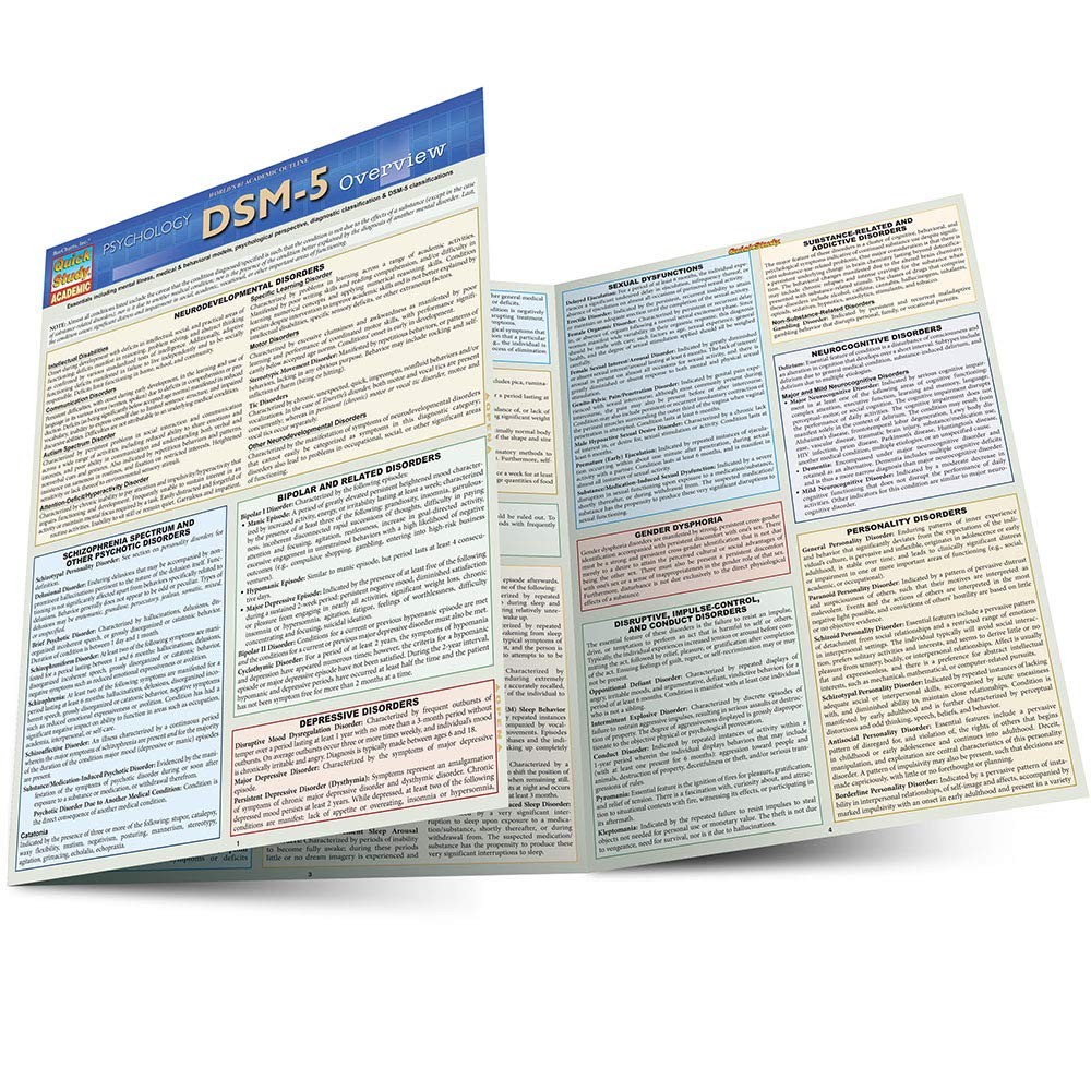 DSM-5 Overview BarCharts, Inc. pamphlet Very Good