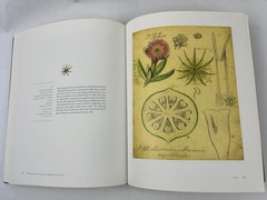 2007 Drawing Upon Nature: Studies for the Blaschkas’ Glass Models Botanical Ills