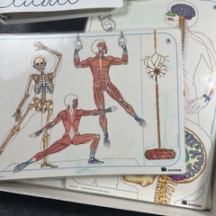 Nystrom Science Body Systems Skeletal Muscular Curriculum Homeschool Vintage