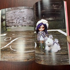 Blythe A Wonder World doll Art book Japan 2008 Junko Wong Graphic 168 pages USED