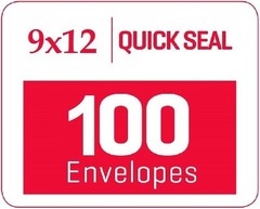 Bulk Pack of 100 9×12 Security Tinted Self-Seal Catalog Envelopes