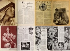 Radio Digest – Tabloid Stars Radio Shows – 290 Old Magazines (1922-1933) on DVD