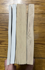 Lot of 4 PB Bks. Daniel’s Prophecy, Jeremiah, Revelation, Large-Print WatchTower