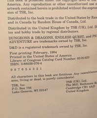 Under Dragon’s Wing Endless Quest book #15 1984 TSR Dungeons and Dragons 1st