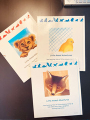 BOOKS FOR KIDS -LITTLE ANIMAL ADVENTURE SET 3 BOOKS (LITTLE LION-CHICK-FOX)