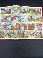 Das Grosse Bessy-Bunch Be 23 Andy Und Sein Treuer Freund Bastei German Book HTF