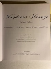 “Wondrous Strange: The Wyeth Tradition” 1998 HC DJ 168 PAGES FREE SHIPPING