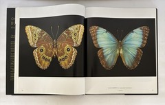 One Hundred Butterflies Hardcover Book by Harold Feinstein Dust Cover Color Pics