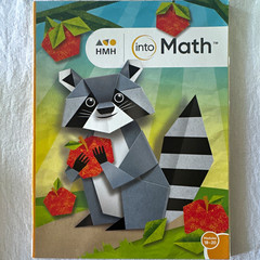 HMH Into Math Textbook Modules 18-20 Elementary Mathematics English Book