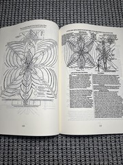 Ashayana Deane,Kathara Foundations,Awakening the Living Lotus,Levels 2&3,Reprint