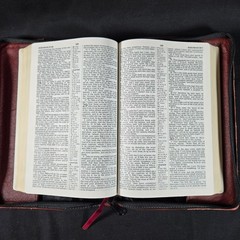 Holy Bible King James Version KJV Leather Zip Cover Broadman & Holman 1998 Ed