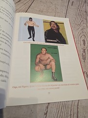 Cavernario Galindo O La Furia En El Ring – Lucha Libre Book – 238 Pages – Arana