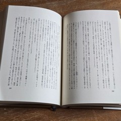 Shinchosha Saiichi Maruya Hardcover Japanese Novel Hardcover Book