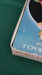 Secret Dakini Oracle Tantric Divination Deck Perry Sinclair & Nik Douglas 1977
