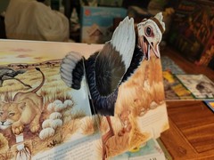Fun Mixed Lot of Animal Children’s Books Lions Pop Up, Dogs, Bats, Wolves, Ducks