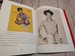 Cavernario Galindo O La Furia En El Ring – Lucha Libre Book – 238 Pages – Arana
