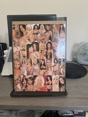 PLAYBOYS LINGERE! 2007. Excellent Condition, Bagged And Boarded!