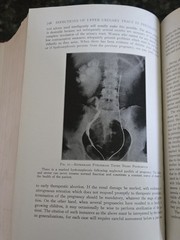 The Practitioners Library of Medicine and Surgery 1938 Supplement Index