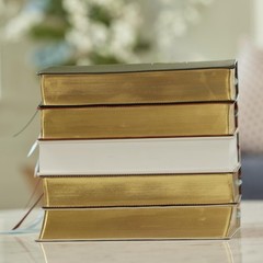 Life in Christ Bible: Discovering, Believing, and Rejoicing in Who God Says…