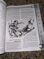 2001 first printing DUNGEONS & DRAGONS Tome & Blood Guidebook Wizards/WOTC