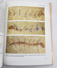 The Cambrian Fossils of Chengjiang, China The Flowering of Early Animal Life HC