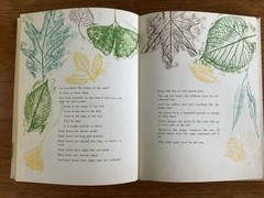 I found a leaf~Sharon Lerner~c1964~3rd ptg 1967~Lerner Publications~HB~36 pages
