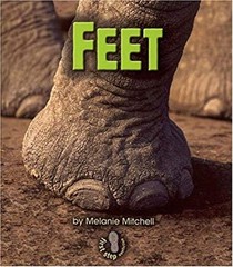 Feet Paperback Melanie Mitchell