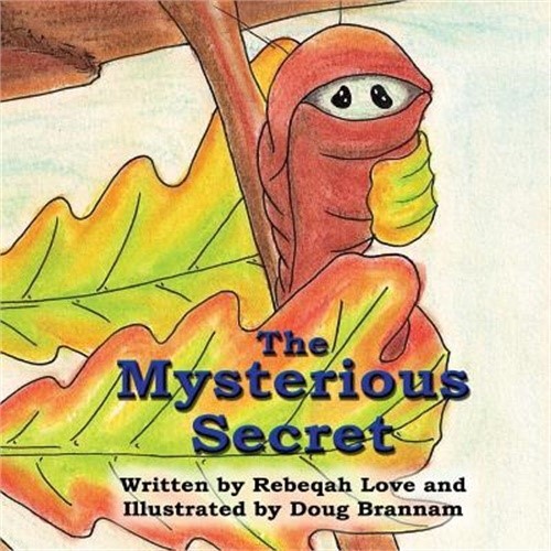 The Mysterious Secret (Paperback or Softback)