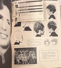 Super Star Hair Styles by Mr. Ray 1970s Paperback Book Pics & How To 56 Pages