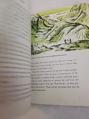 Vintage All About Dinosaurs Roy Chapman Andrews Hardback Book 1953