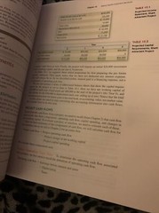 Fundamentals of Corporate Finance by Bradford D. Jordan, Stephen A. Ross and…