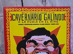 Cavernario Galindo O La Furia En El Ring – Lucha Libre Book – 238 Pages – Arana
