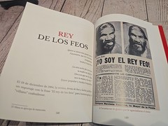 Cavernario Galindo O La Furia En El Ring – Lucha Libre Book – 238 Pages – Arana