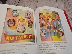 Cavernario Galindo O La Furia En El Ring – Lucha Libre Book – 238 Pages – Arana