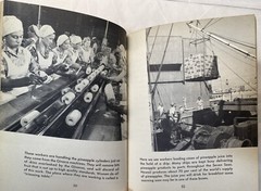 MEN AT WORK IN HAWAII Harry C. Rubicam HC 1960 ex-lib hardcover