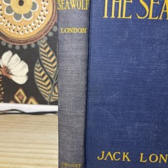 1904 The Sea-Wolf Jack London – Antique Early Reprint – Grosset & Dunlap