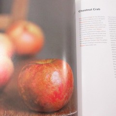 Apples of Uncommon Character Rowan Jacobsen 2014 Illustrated Cookbook Bloomsbury