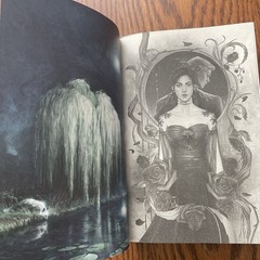 French Rose In Chains Paperback Sprayed Edges Julie Soto
