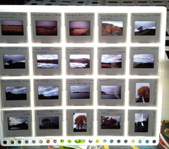 1000 Vintage Slides Nature Flower Mtns Trees Lakes 2 x 2 In 50 Holders 1960-1970