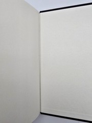SIGNED~A Bright Ray of Darkness by Ethan Hawke, 1st Edition, 1st Printing, HCDJ