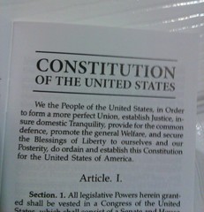 POCKET CONSTITUTION UNITED STATES & DECLARATION OF INDEPENDENCE NEW RON PAUL USA