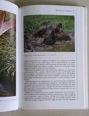 The Bird Table Book by Tony Soper 1992 Sixth Edition Hardback 192 Pages Vintage