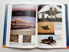Vlamgat The Story Of The Mirage F1 In South African Air Force Dick Lord