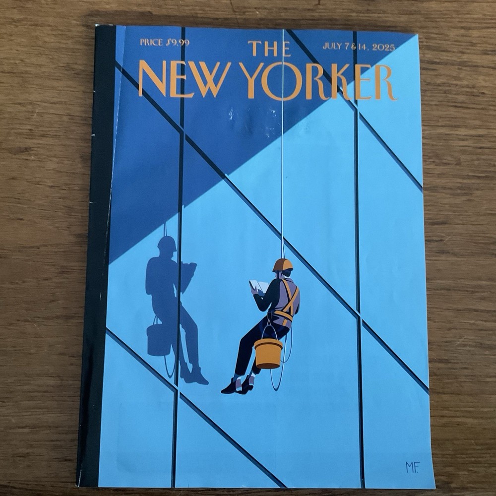 New Yorker 2025 July 7/14~Literary height~window cleaner reads~Christoph Niemann