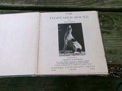 2 Children’s Book Pub. by Oxford University Press, FLOP-EARED HOUND/Real Photos