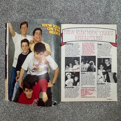 2 Teen Dream Magazines 17 Fall 1989 & 19 Spring 1990 NKOTB Gibson Savage Abdul