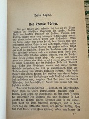 1910s Antique German Fairy Tale Book Die Schwanen Jungfrau by Gustav Nieritz VG