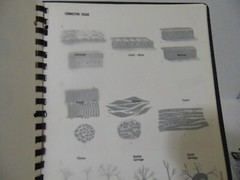 Schick Notebook Charts Human Anatomy 1980 Softcover Spiral Bound Book
